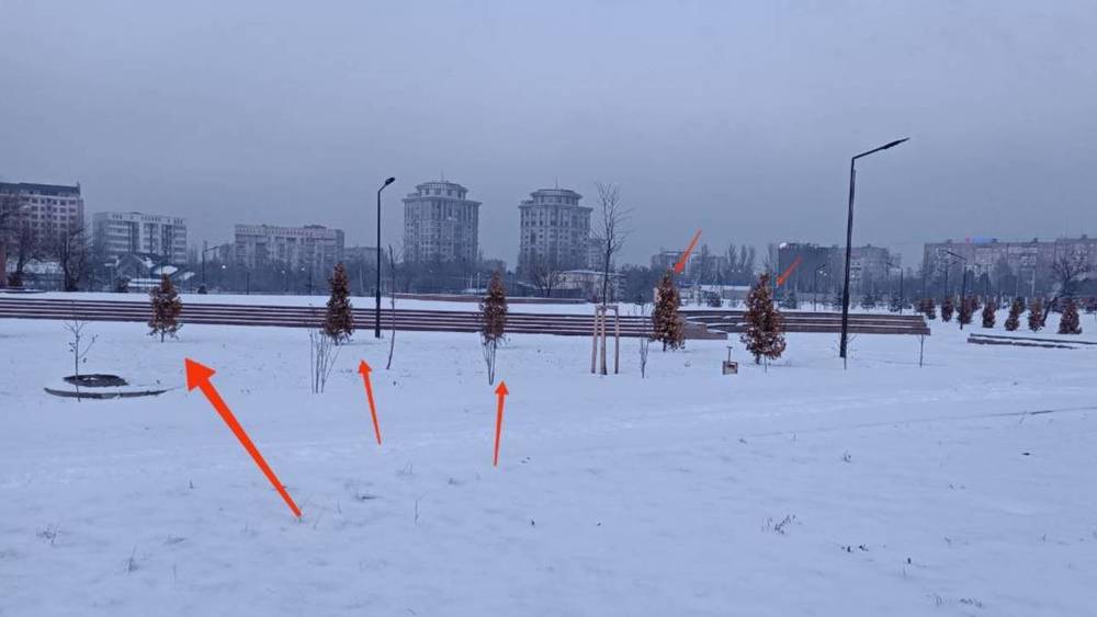 Горожанин указывает на некачественно выполненные работы в парках Байтик Баатыра и Гейдара Алиева. Фото