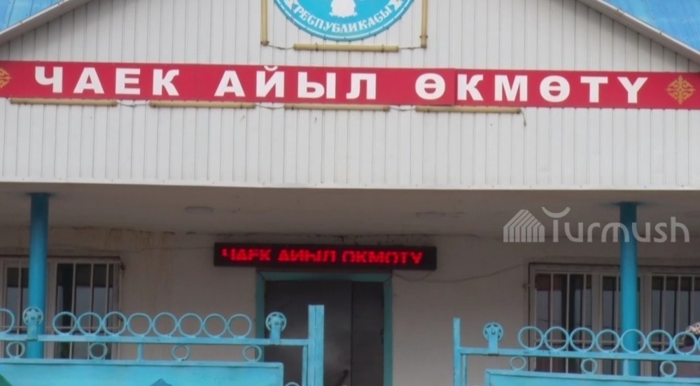 Иллюстративное фото