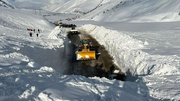 Иллюстрациялык сүрөт