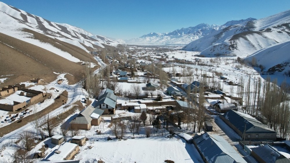 Илллюстрациялык сүрөт