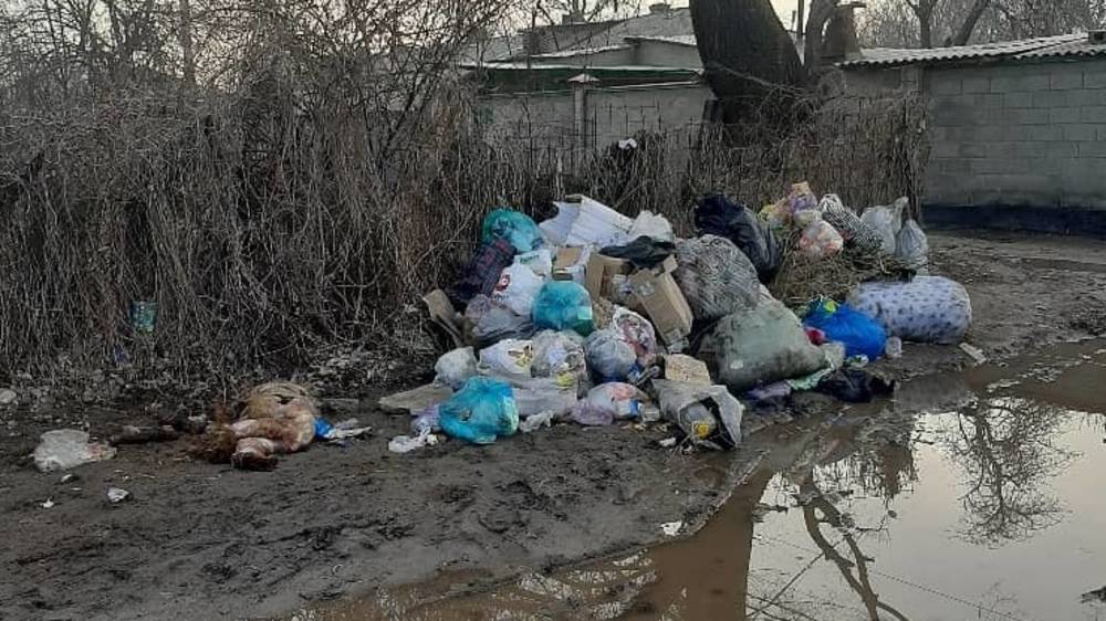 Улицы жилгородка Красный строитель завалены мусором. Фото жителей