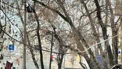 На тротуаре на Элебаева оголенный провод. Фото горожанина