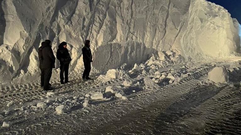 Иллюстрациялык сүрөт