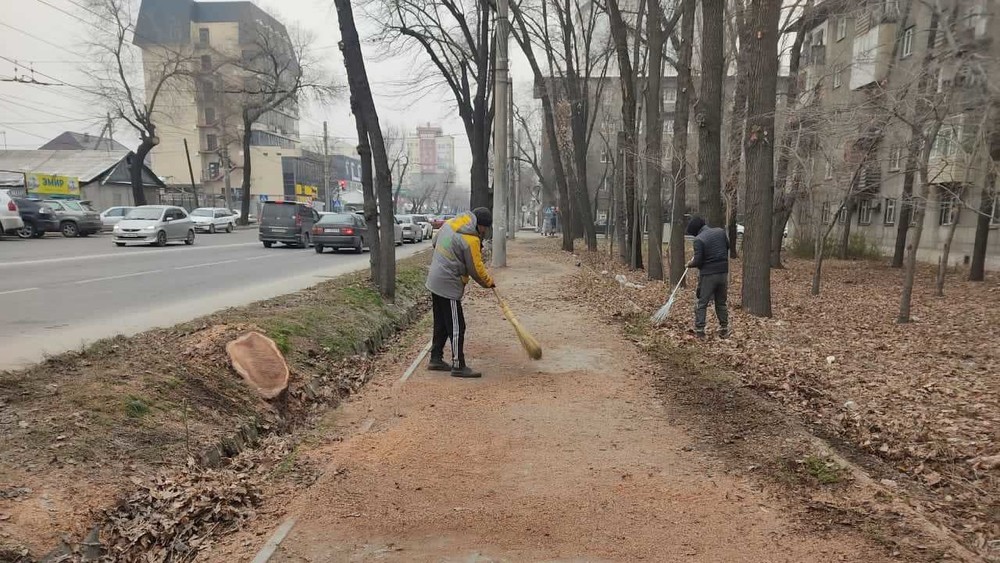 иллюстративное фото