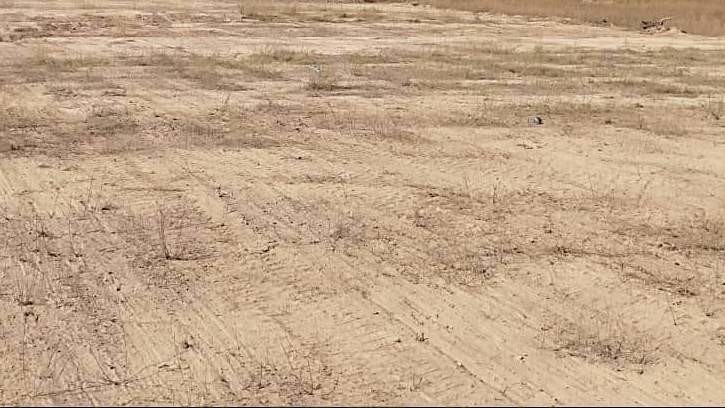 Иллюстративное фото