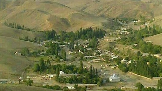 Иллюстрациялык сүрөт