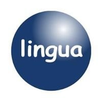 Lingua