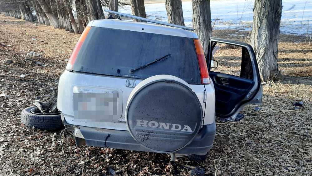 Иллюстрациялык сүрөт