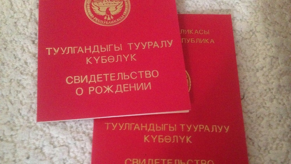 Иллюстративное фото