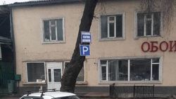 Напротив рынка «Баткен» знак прибили к дереву. Фото