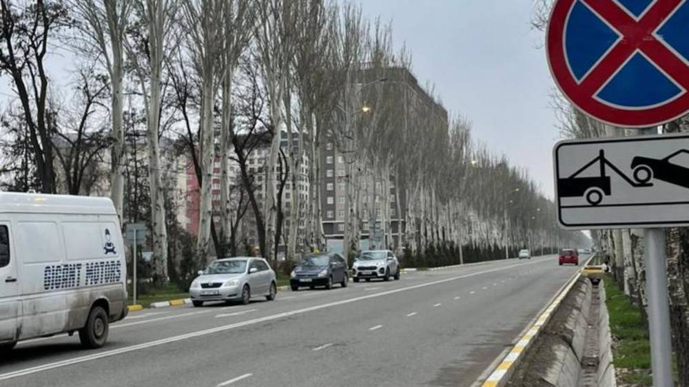На Айтматова днем горят фонари. Фото