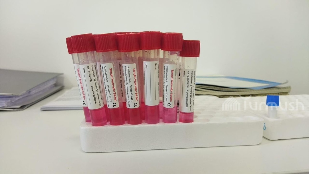 Иллюстрациялык сүрөт