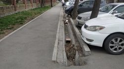 Кучи мусора в арыке вдоль ул.Мичурина. Фото горожанина
