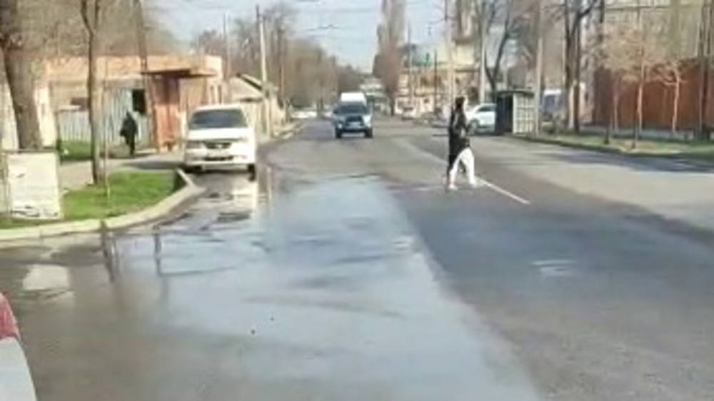 На ул.Усенбаева из-под асфальта течет вода. Видео горожанина