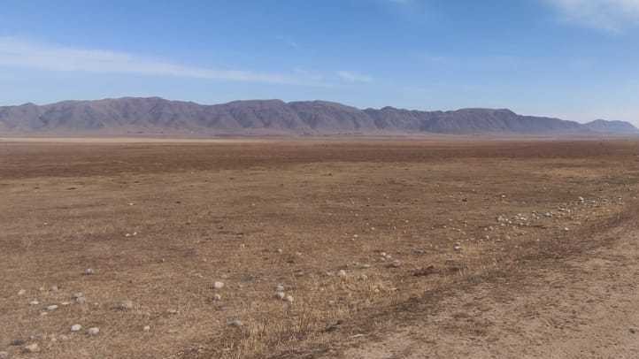 Иллюстрациялык сүрөт