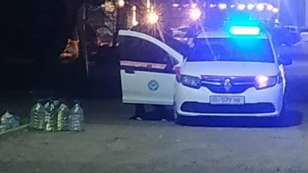 Милиция накрыла стихийную точку по продаже ГСМ в Лебединовке. Видео горожанина