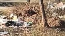 В Бишкеке в сквере на Республиканская—Фестивальный свалка. <b>Видео</b>