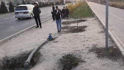 На Южной магистрали горожане уничтожили газон, организовав стихийную остановку. Фото