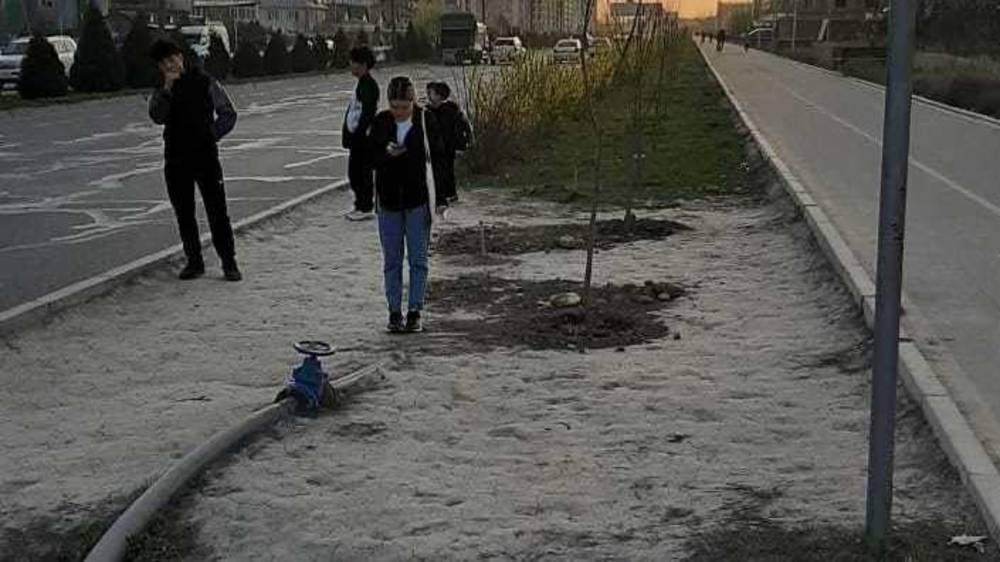 На Южной магистрали горожане уничтожили газон, организовав стихийную остановку. Фото