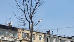 На Советской днем горят фонари. Фото Бегимай