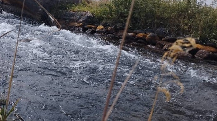 Иллюстрациялык сүрөт