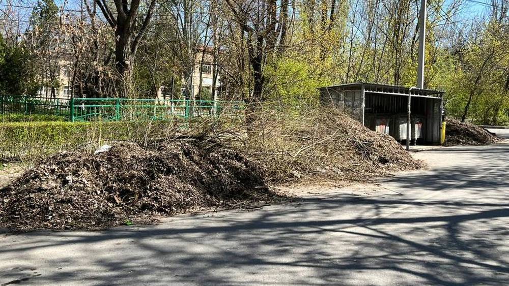 В 6 мкр не вывозят мусор. Фото