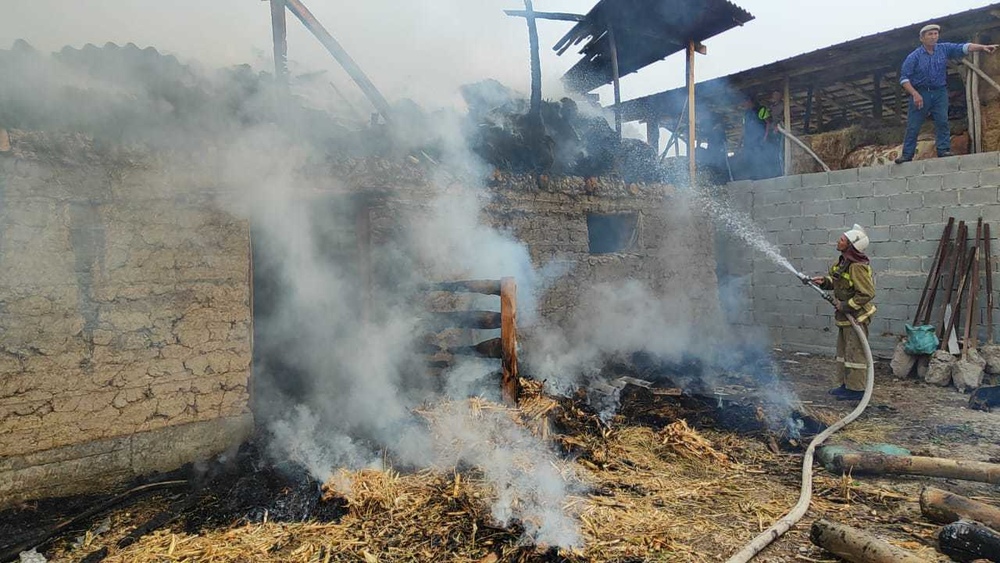 Иллюстрациялык сүрөт