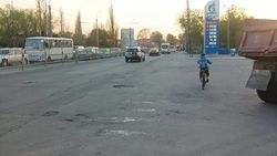 Горожанин просит нанести «зебру» на Льва Толстого. Фото
