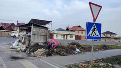 Когда на Шералиева уберут мусор? Фото горожанина