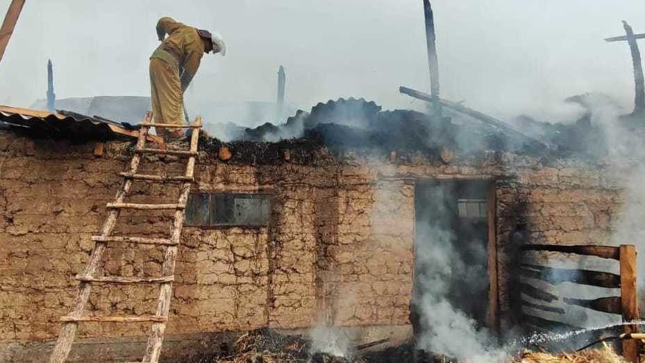 Иллюстрациялык сүрөт