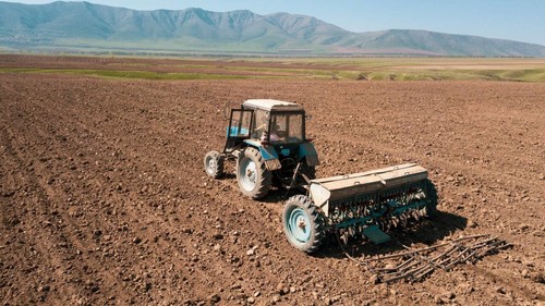 посевная площадь