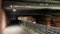 Горожанин просит сделать освещение на переходе под мостом на Манаса. Фото