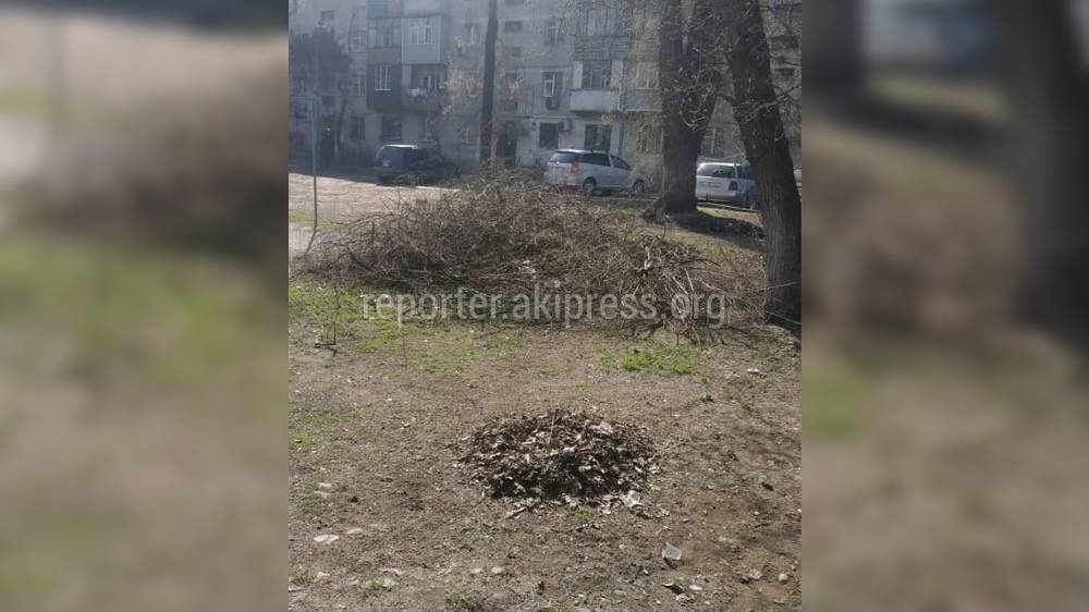 В бишкекском дворе за 2 года скопился древесный мусор