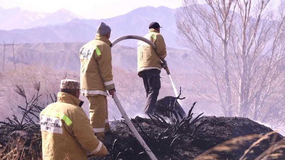 Иллюстрациялык сүрөт