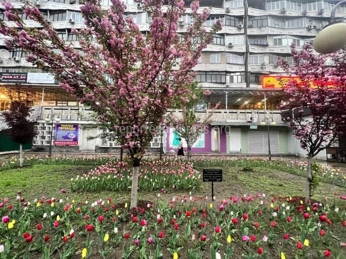Снаружи