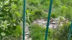 Мусор на территории республиканского ГАИ. Видео горожанина