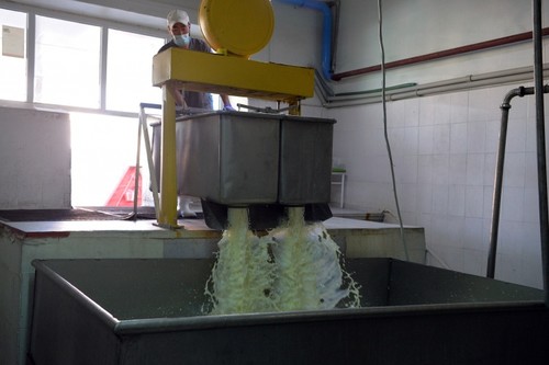 Молочный Кластер