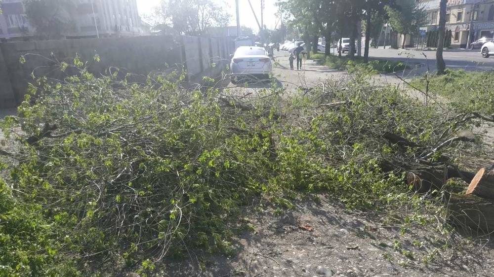 На Ахунбаева не убрали ветки после обрезки. Фото