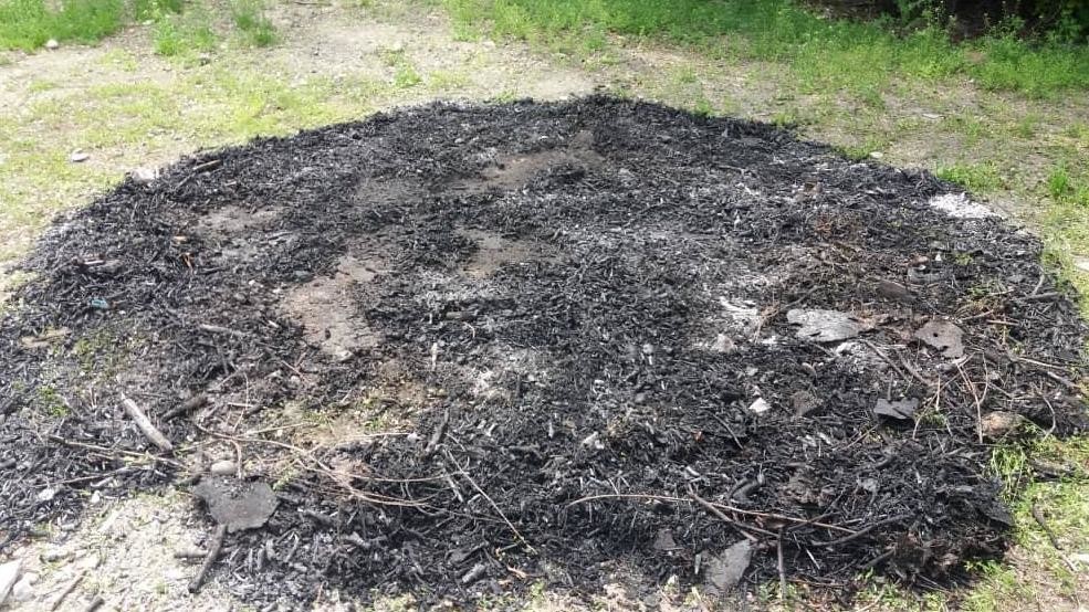 Иллюстративное фото