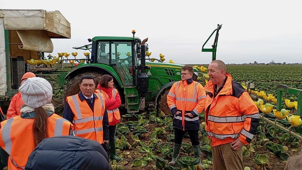 Иллюстративное фото.