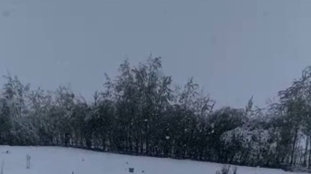 В Кочкорском районе выпал снег. Видео