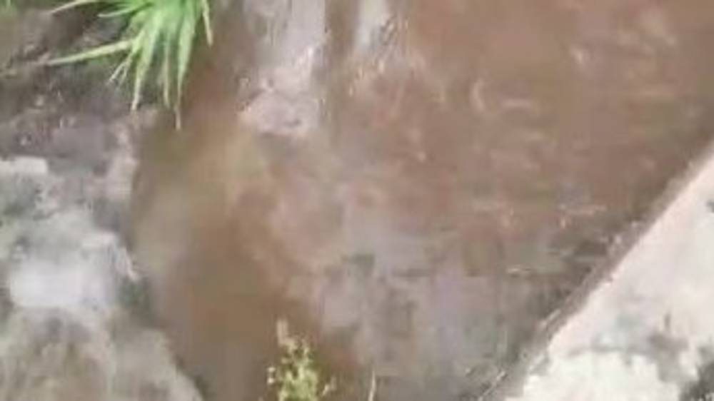 Жители Тюпского района пьют воду из арыка. Видео