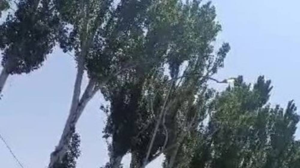 На Фучика днем горят фонари. Видео