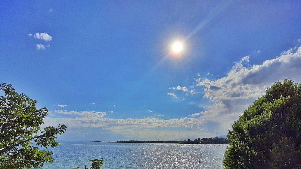 Иллюстрациялык сүрөт