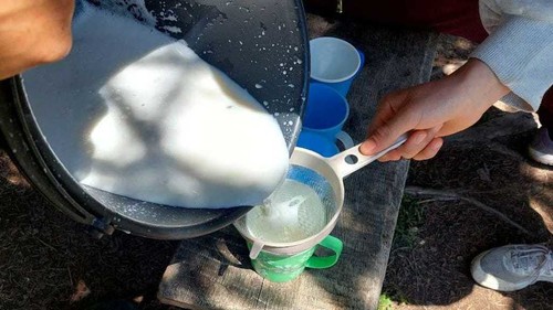 молокоперерабатывающие компании