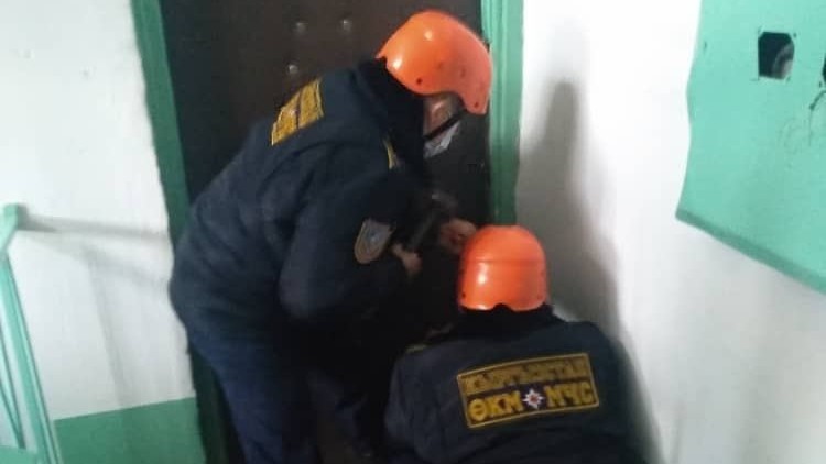 Иллюстративное фото