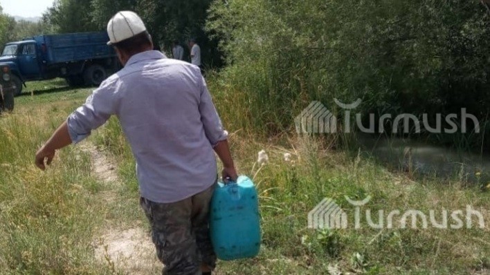 Иллюстрациялык сүрөт