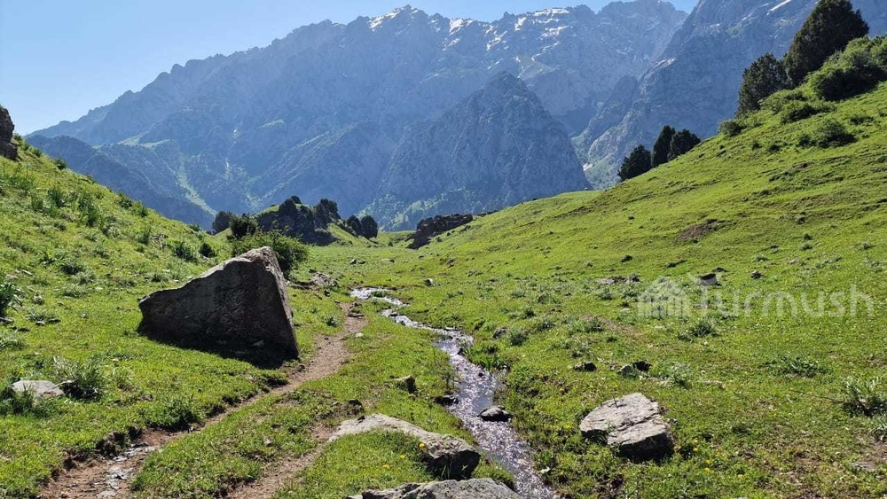 Иллюстрациялык сүрөт