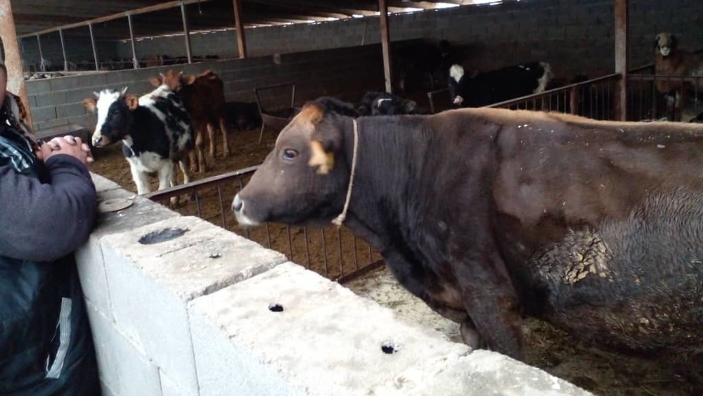 Иллюстративное фото