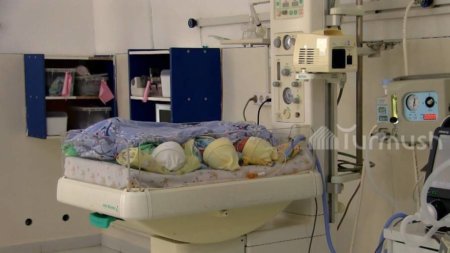 Иллюстрациялык сүрөт